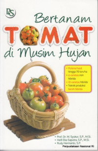 Bertanam tomat di musim hujan