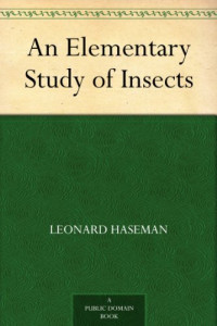 Image of An Elementary Study Of Insects