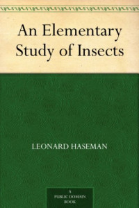 An Elementary Study Of Insects