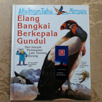 Elang Bangkai Berkepala Gundul