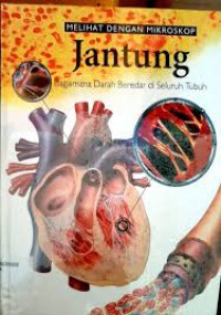 Melihat Dengan Mikroskop Tubuh Manusia 1: Jantung, Bagaimana darah beredar di seluruh tubuh